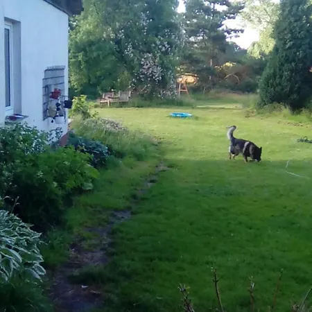 公寓 1 维滕贝格