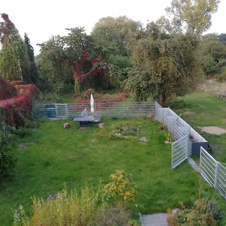 公寓 1 维滕贝格