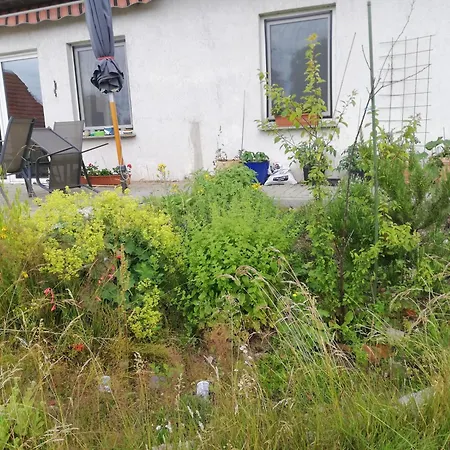 Ferienwohnung